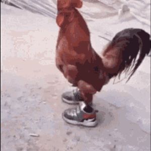 Meet your Posher, Deante